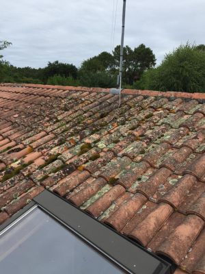 MOUSSES LICHENS POLLUTION SUR TOITURE A CAPBRETON